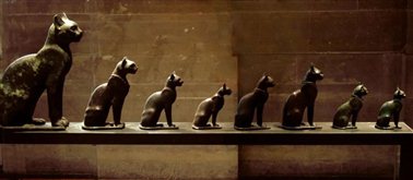 图 7 卢浮宫展厅中蔚为壮观的“𓃠”型埃及猫群